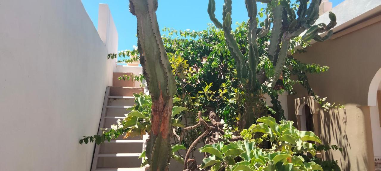 Les Etoiles Du Ksar Hotel Mirleft Luaran gambar